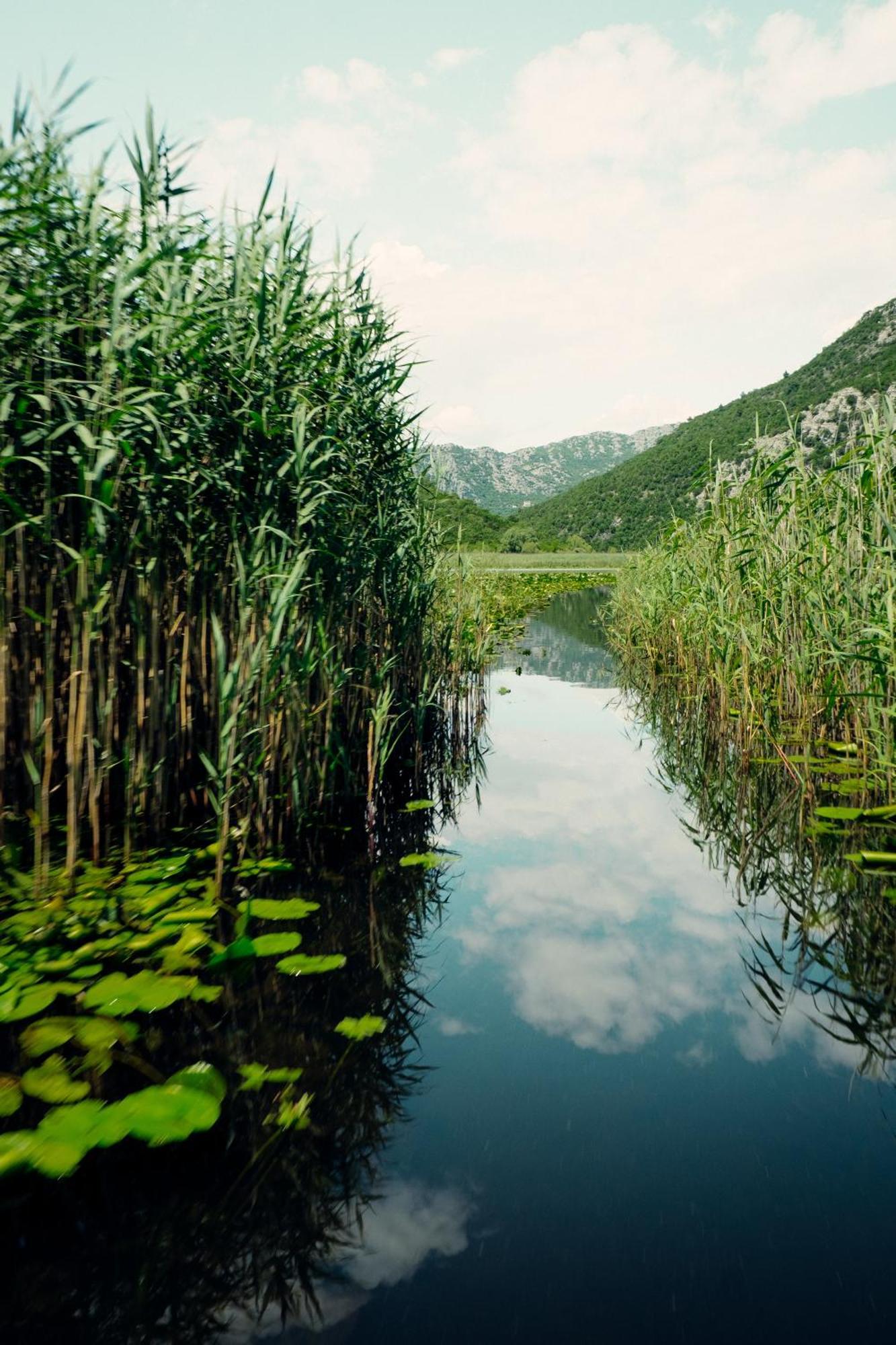 Skadar Lake Family Resort Rijeka Crnojevića Exterior foto